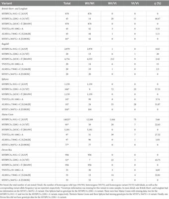 Classification of feline hypertrophic cardiomyopathy-associated gene variants according to the American College of Medical Genetics and Genomics guidelines